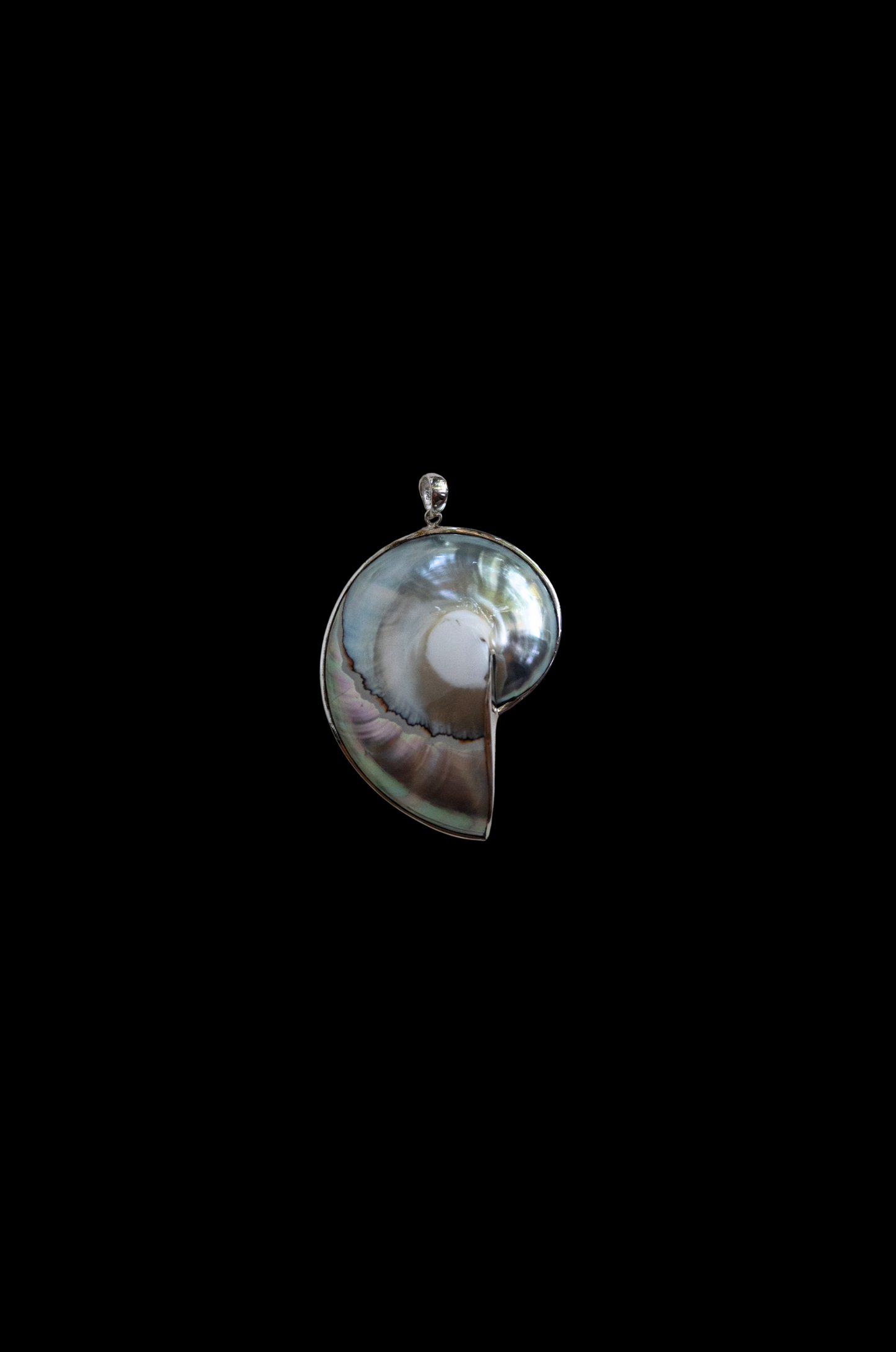 Nautilus shell pendant